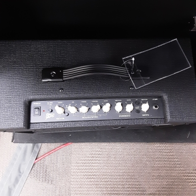 Store Special Product - Debut 50R Combo Amp with Reverb - Black/Biscuit